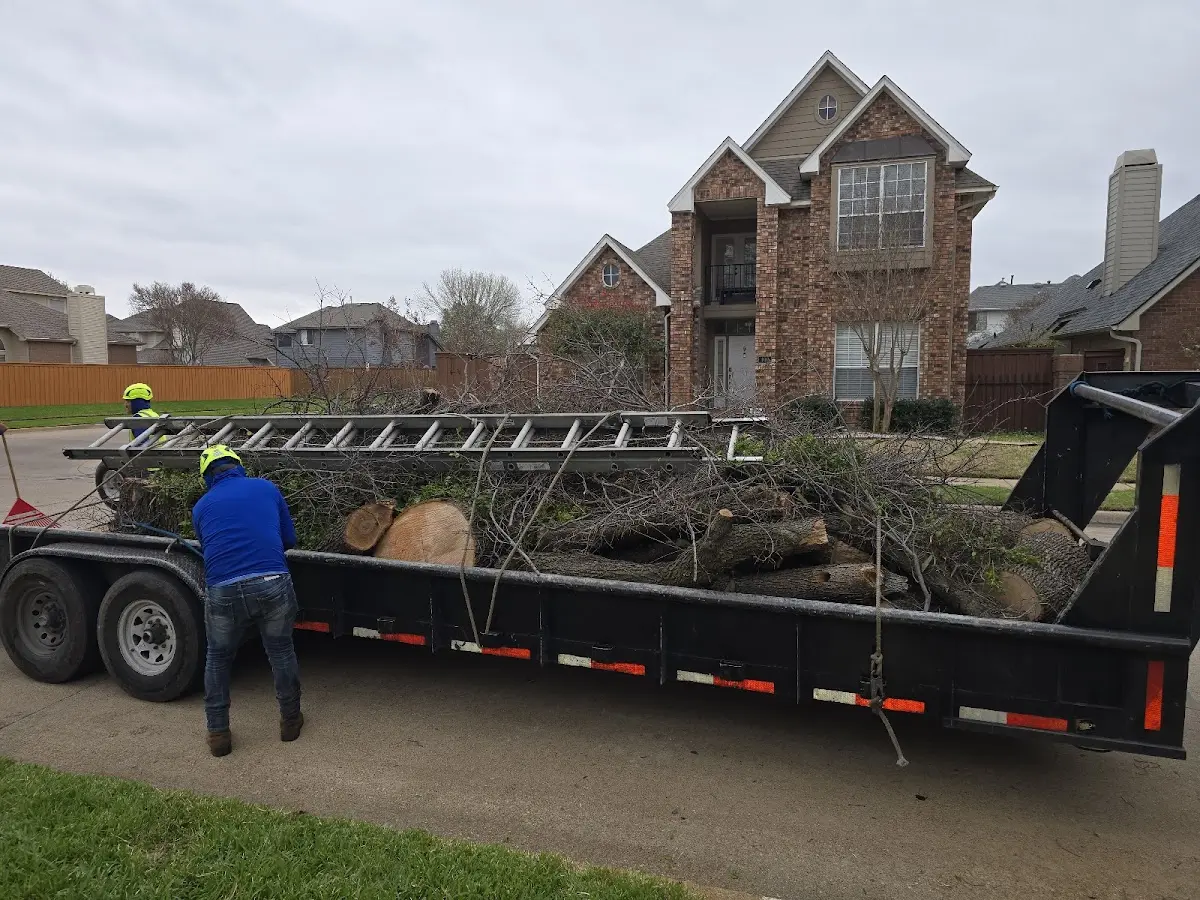 Expert Tree Fertilization with proper safety equipment in Haverford